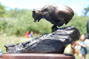 The Dipsea Race