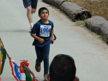 The Dipsea Race