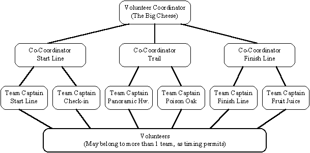 New Organization Chart.