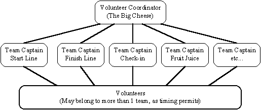 Old Organziation Chart.